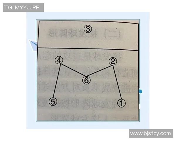 杭州排球队挑战赛战术分析与表现评析全面解读